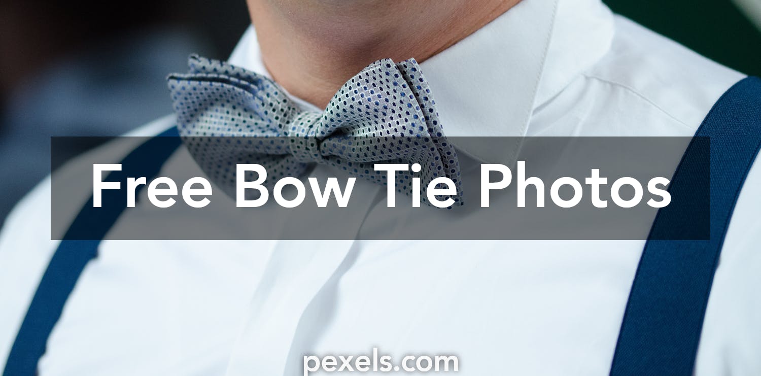 250+ Interesting Bow Tie Photos · Pexels · Free Stock Photos