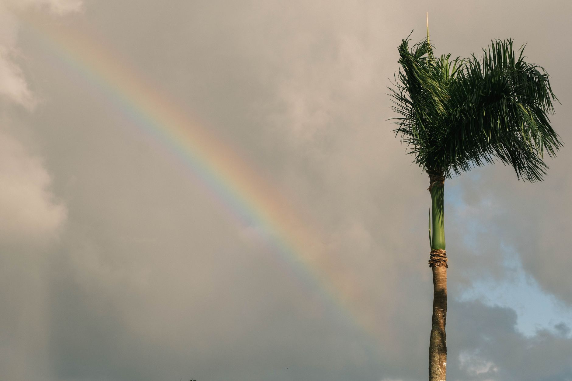 Tropical Storm Moke approaches Hawaii with strengthening winds