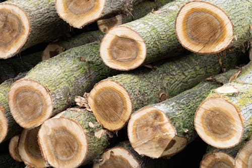 Pile of Lumber