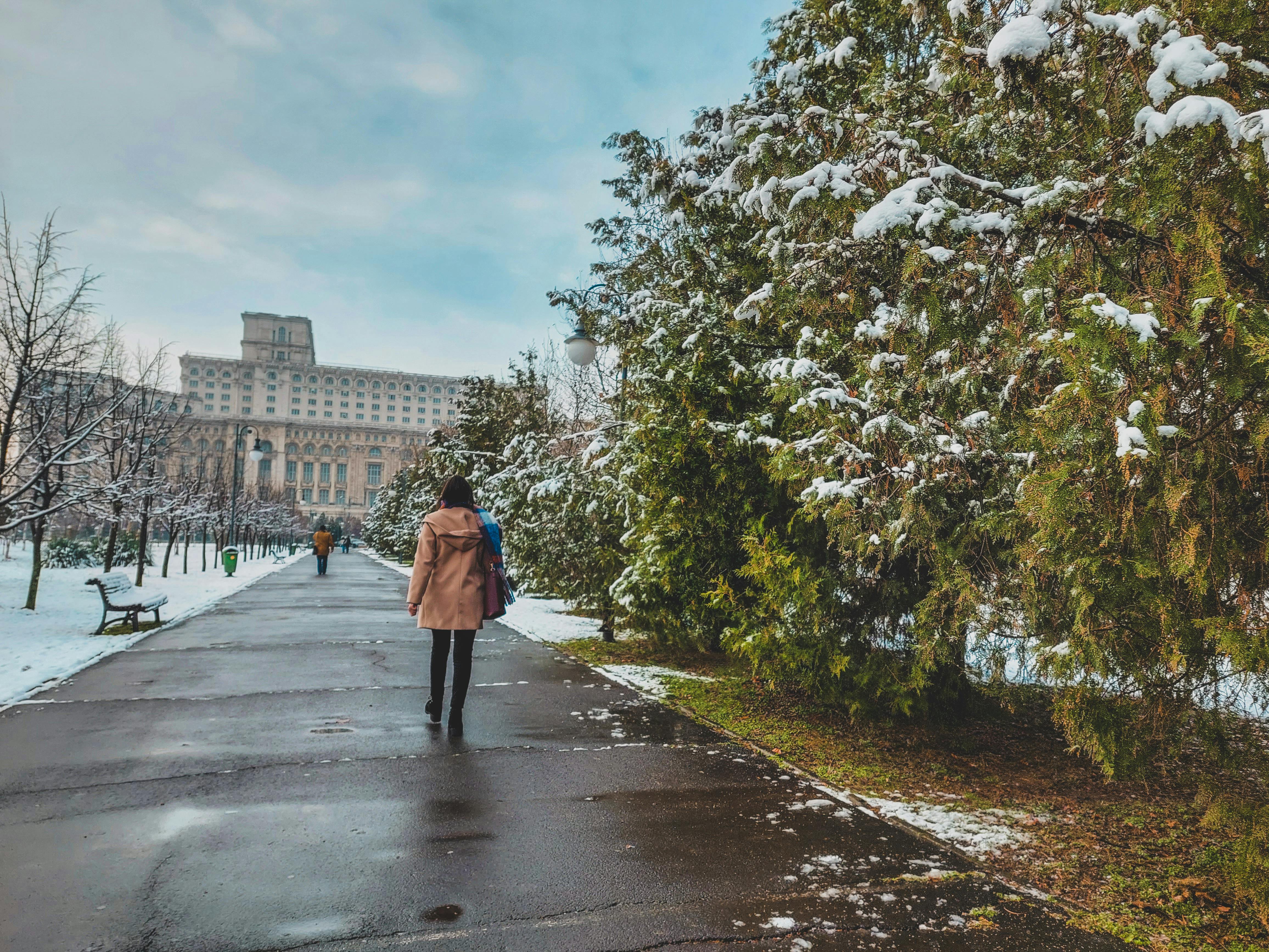 a person walking down a path in the snow