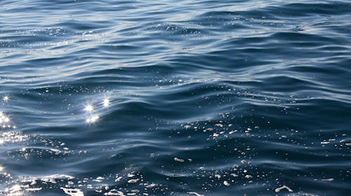 Foto profissional grátis de água, líquido, mar