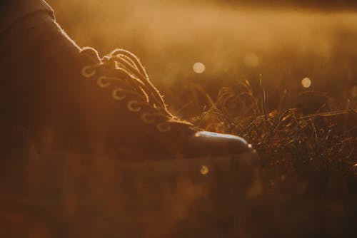 검은 구두, 스포츠, 아름다운 석양의 무료 스톡 사진