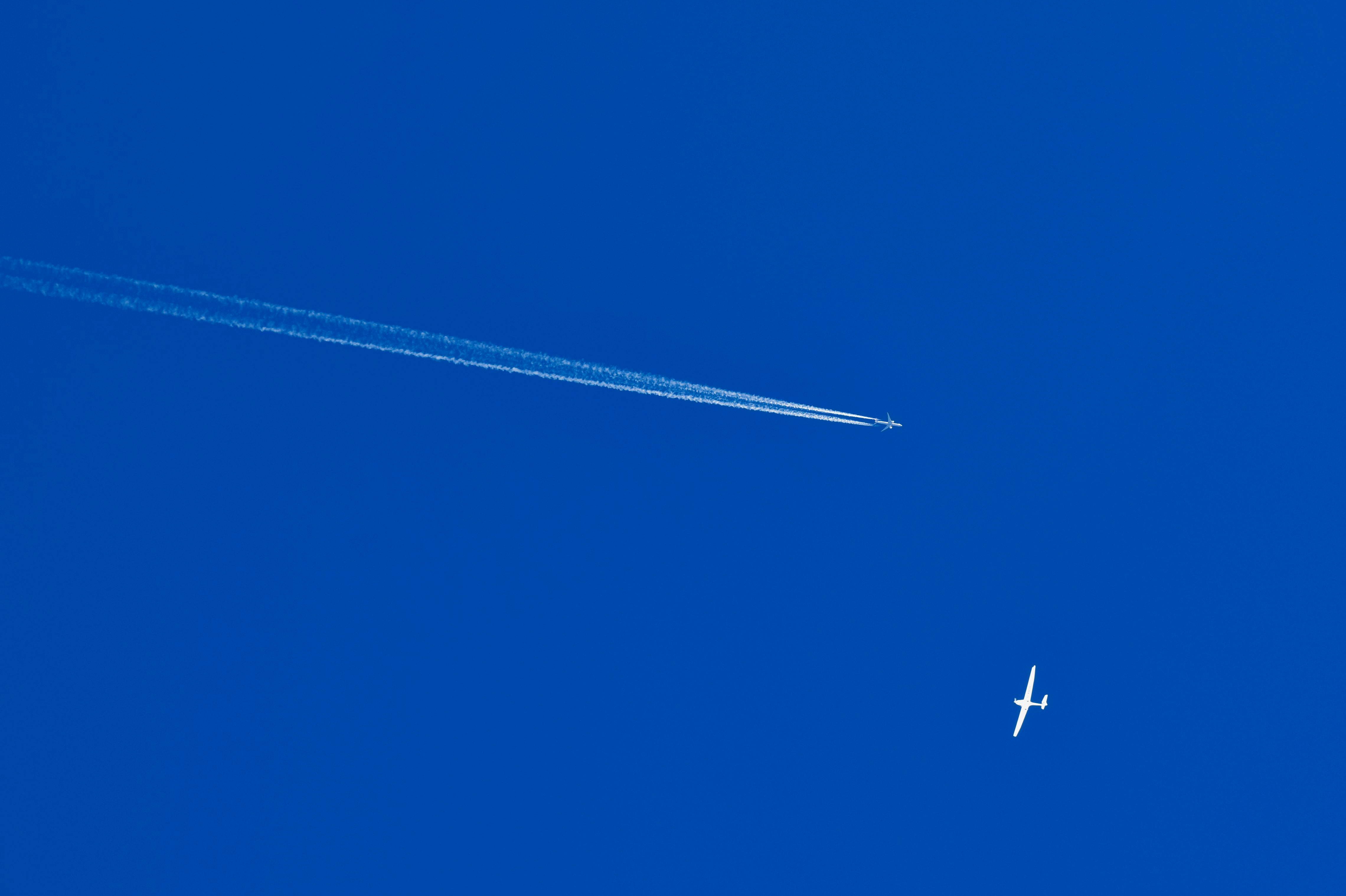I fly 100,000 miles a year. These are my picks for best airline credit cards — Photo by Christian Krknjak on Pexels