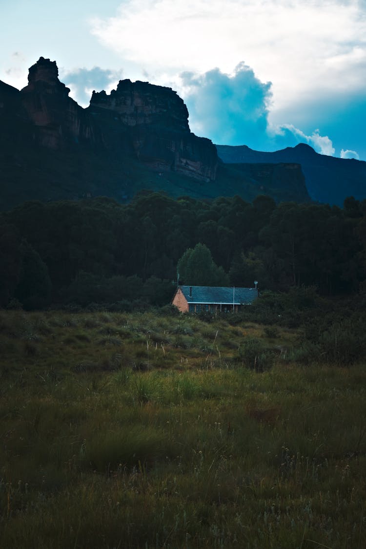 Rural House In Summer