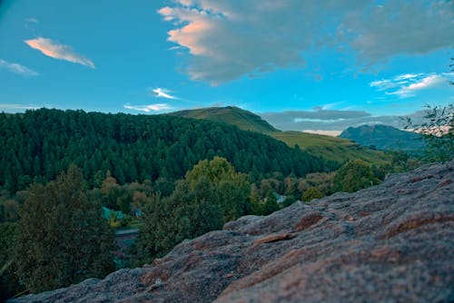 Panoramic View of Mountains Covered in Green Trees