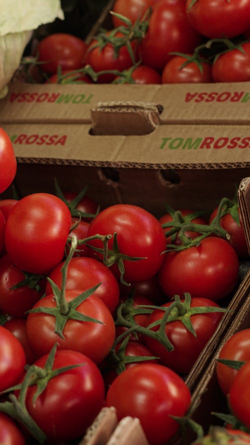 Tomatoes in boxes on a table with a label