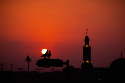 Free Dramatic sunset in Dubai featuring bird silhouettes and mosque minaret. Stock Photo