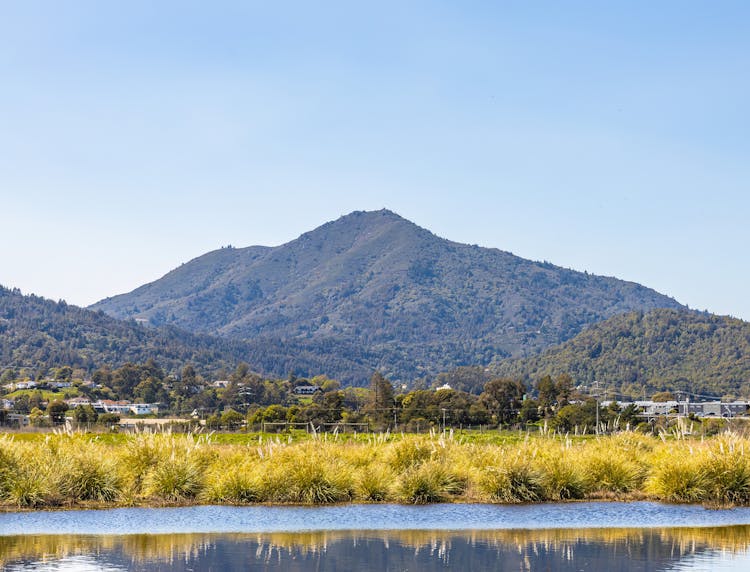 View Of The Tamalpais Mountain From Corte Madera Creek In California 