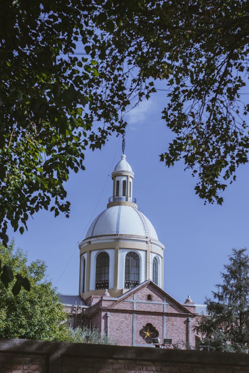 A Dome of a Building seen from between the Trees 