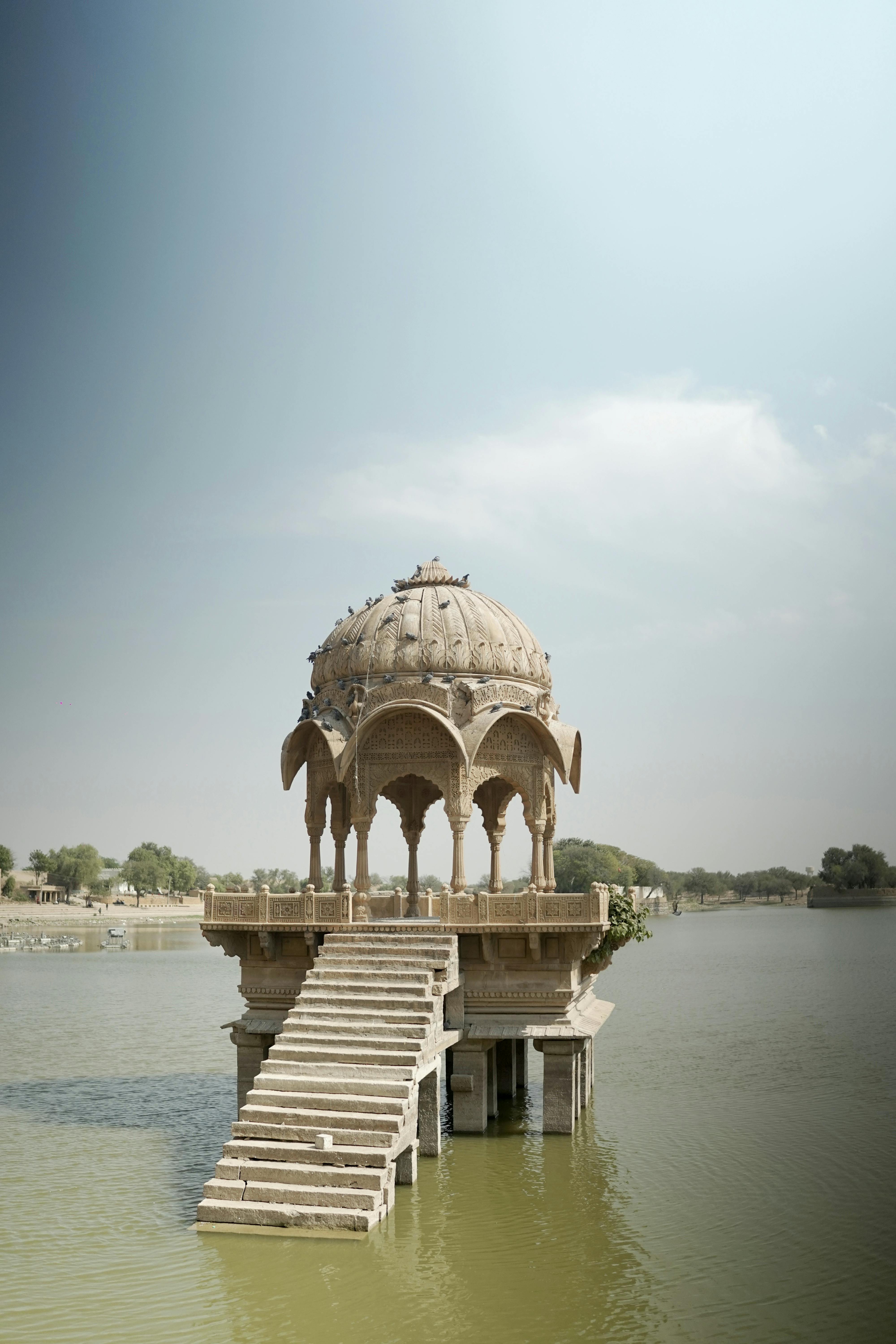 50+ Vyas Chhatri Stock Photos, Pictures & Royalty-Free Images - iStock |  Zebra, Bmx trick