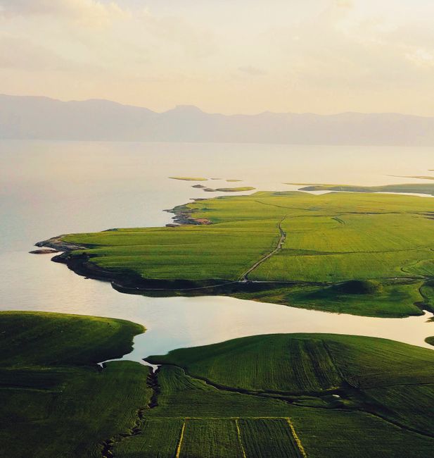 A breathtaking aerial view of expansive green fields meeting the tranquil sea under a soft, evening glow.