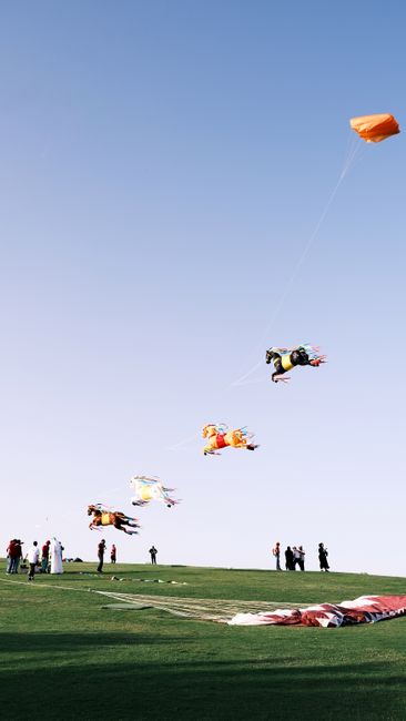 Kites flying high at an outdoor event under a clear blue sky, creating a lively scene.