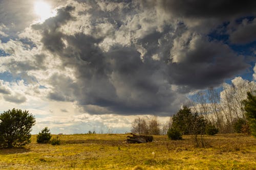 Dramatic Clouds over the Meadow