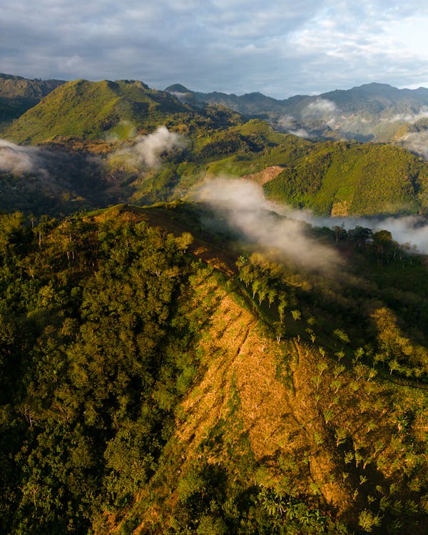 Aerial Shot of Mountains