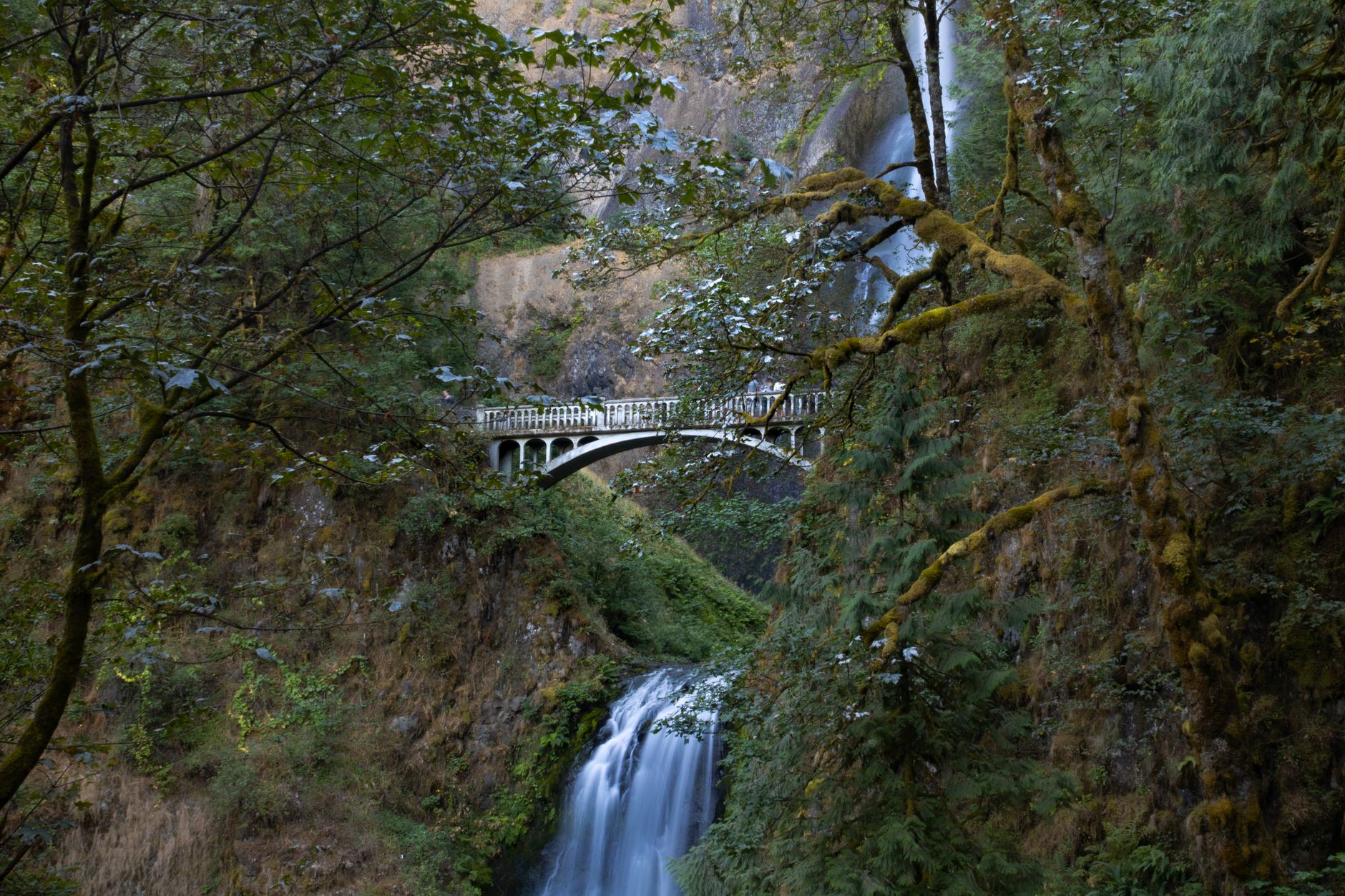 Multnomah Falls tumbling in two tiers with the arched Benson Footbridge spanning the cliff between them, framed by mossy trees