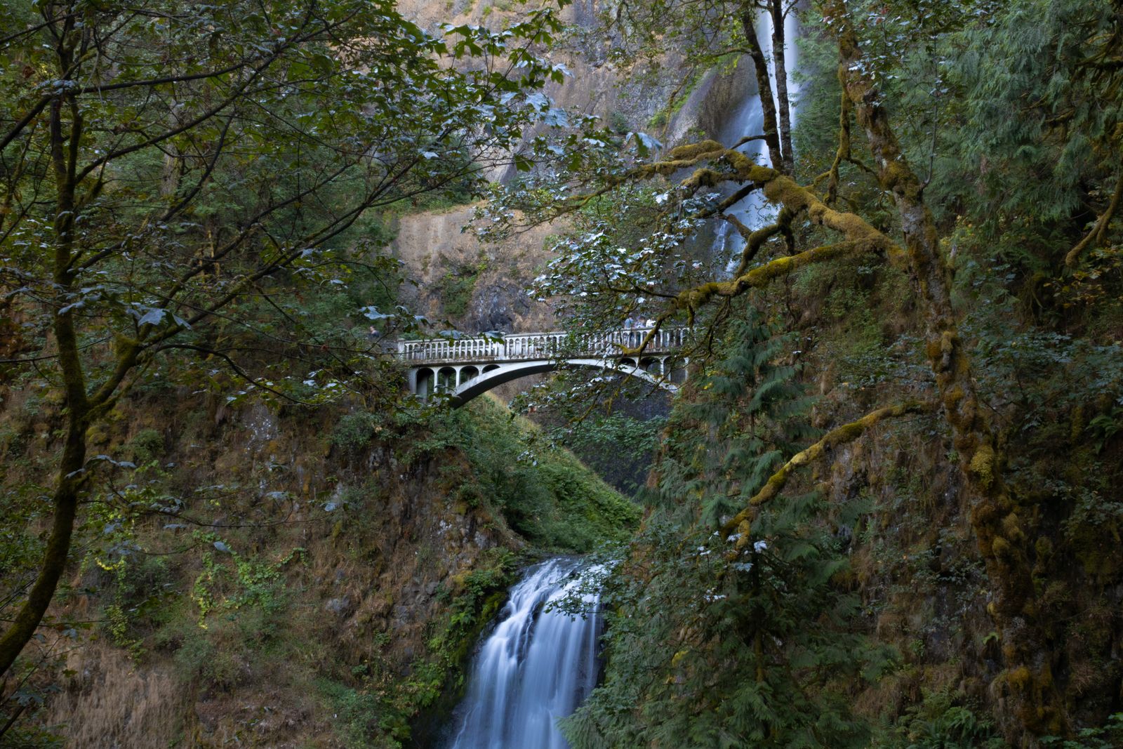 Benson Bridge over Multnomah Falls in the Columbia River Gorge