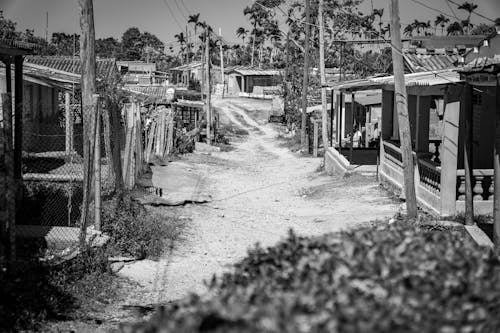 Dirt Road Between the Houses of a Town in the Tropics
