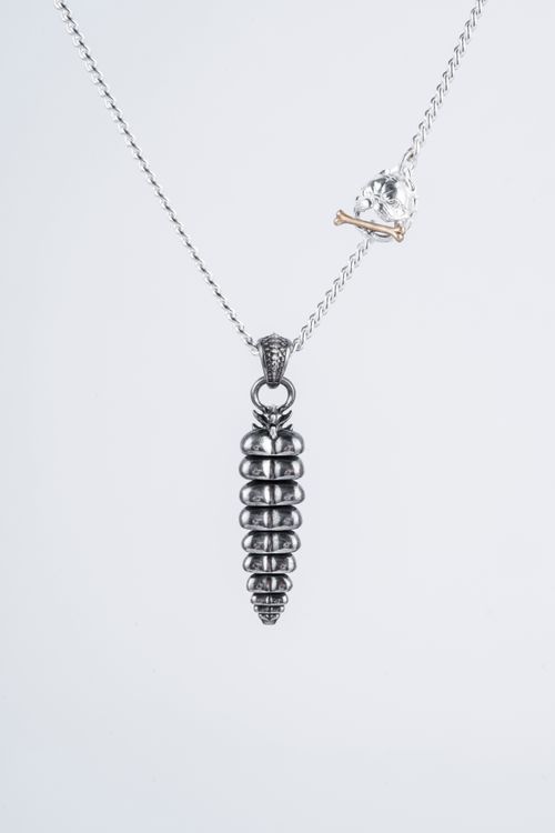 Free Stylish silver pendant necklace displayed on a white background, highlighting jewelry details. Stock Photo