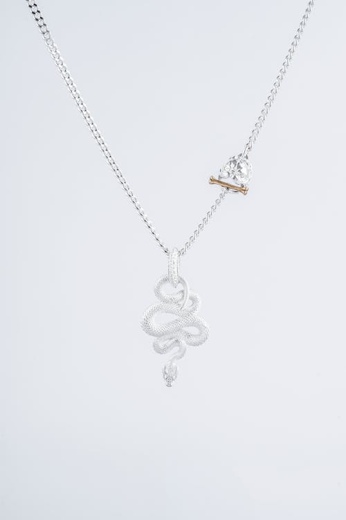 Necklace with Snake Pendant