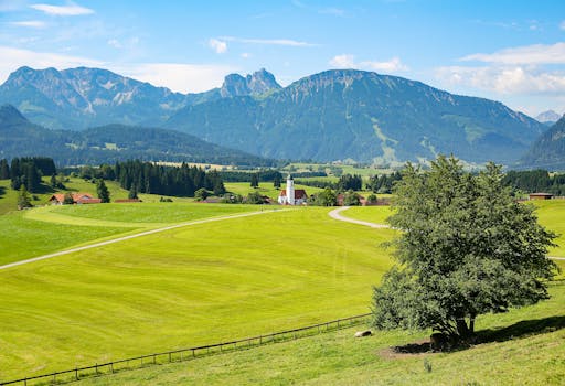 Green Trees on Green Fields