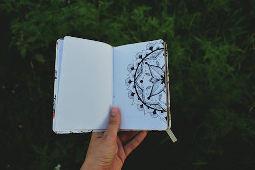 Person Holding Open Book with Floral Drawing 