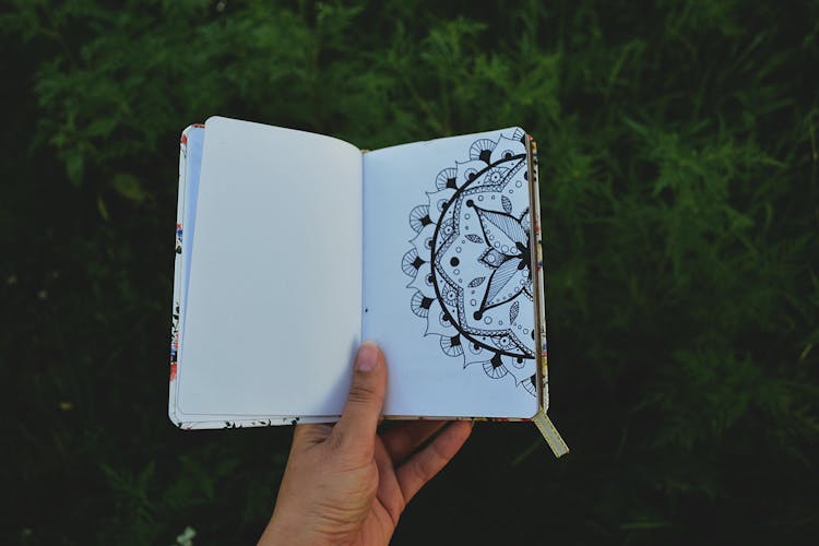 Person Holding Open Book With Floral Drawing 