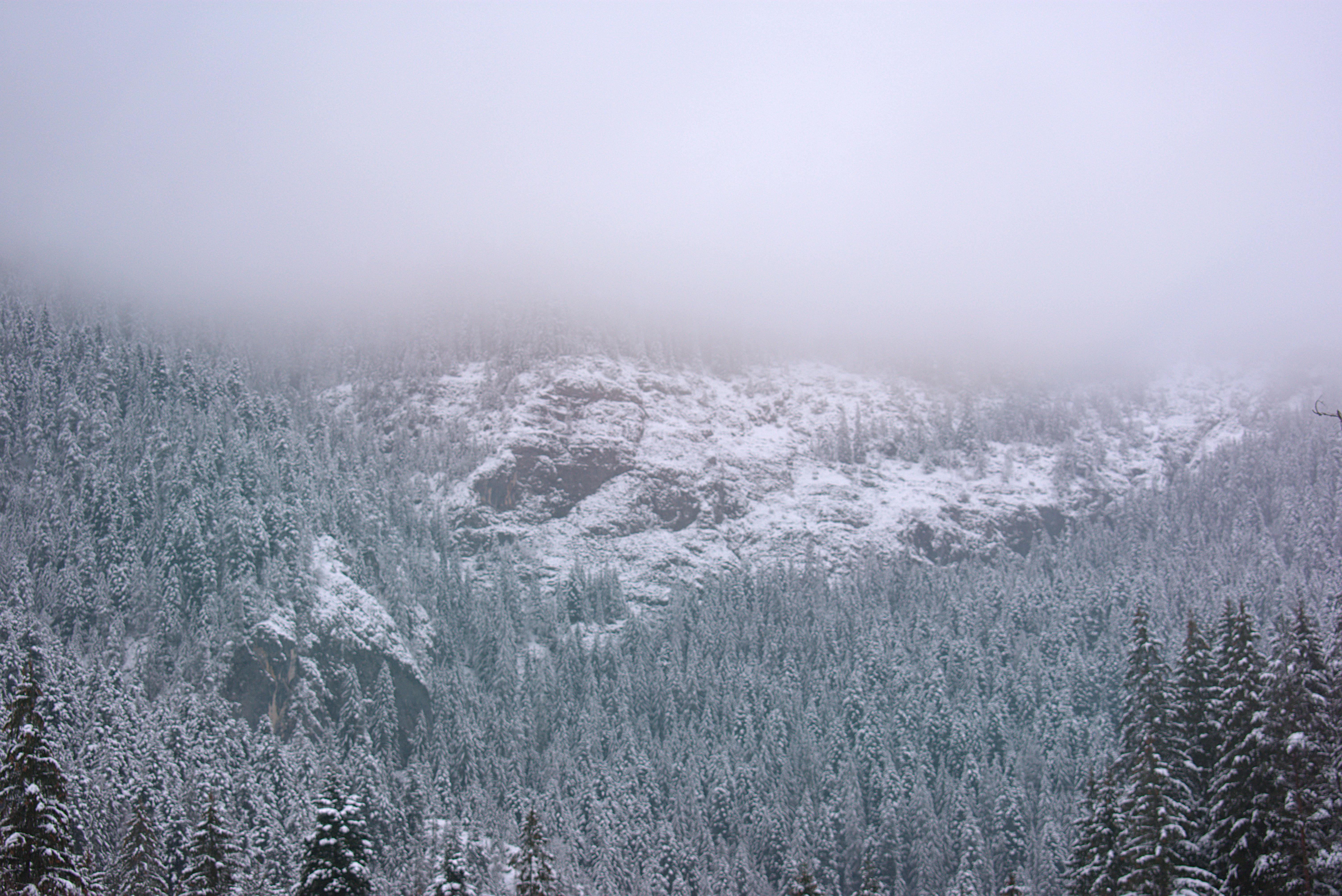 Prescription Goggle Inserts - A serene snowy mountain forest enveloped in winter fog, creating a tranquil and mystical landscape.