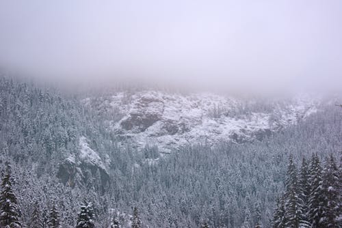Free Bird's Eye View Of Snow Covered Mountain Stock Photo