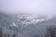 冬季的雾笼罩着宁静的雪山森林，营造出一片静谧而神秘的景象
