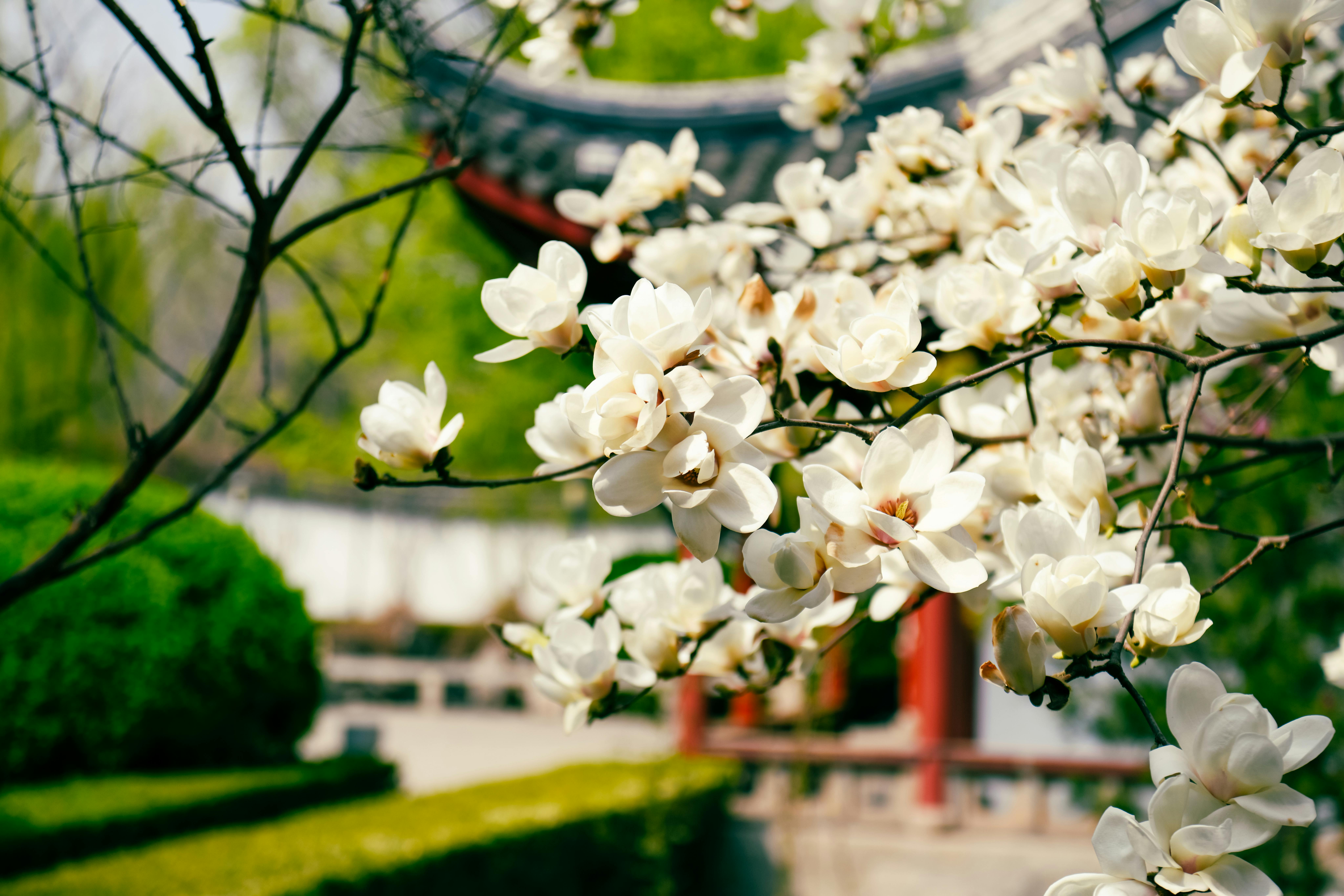 Magnolia’s AAA Hobbies To Close 2026 (Second Half). Iconic Hobby- Craft Emporium — Photo by Suki Lee on Pexels