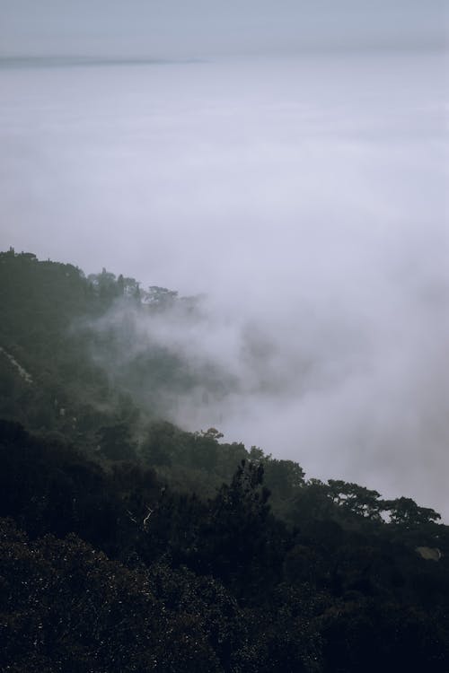 Aerial View of a Mountain among Clouds and Fog 