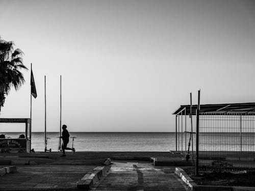 Silhouetted Promenade and Trees on the Shore and the Seascape 