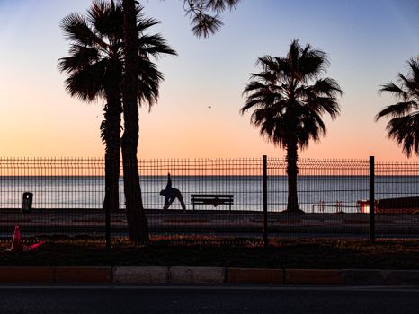 A person stretches by a fence along a palm-lined coastal path during sunrise, capturing tranquility and warmth.