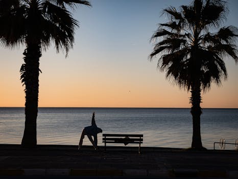 A serene seaside silhouette scene with palm trees and a person stretching at sunrise.