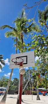 Basketball court with a hoop and palm trees under a clear blue sky.