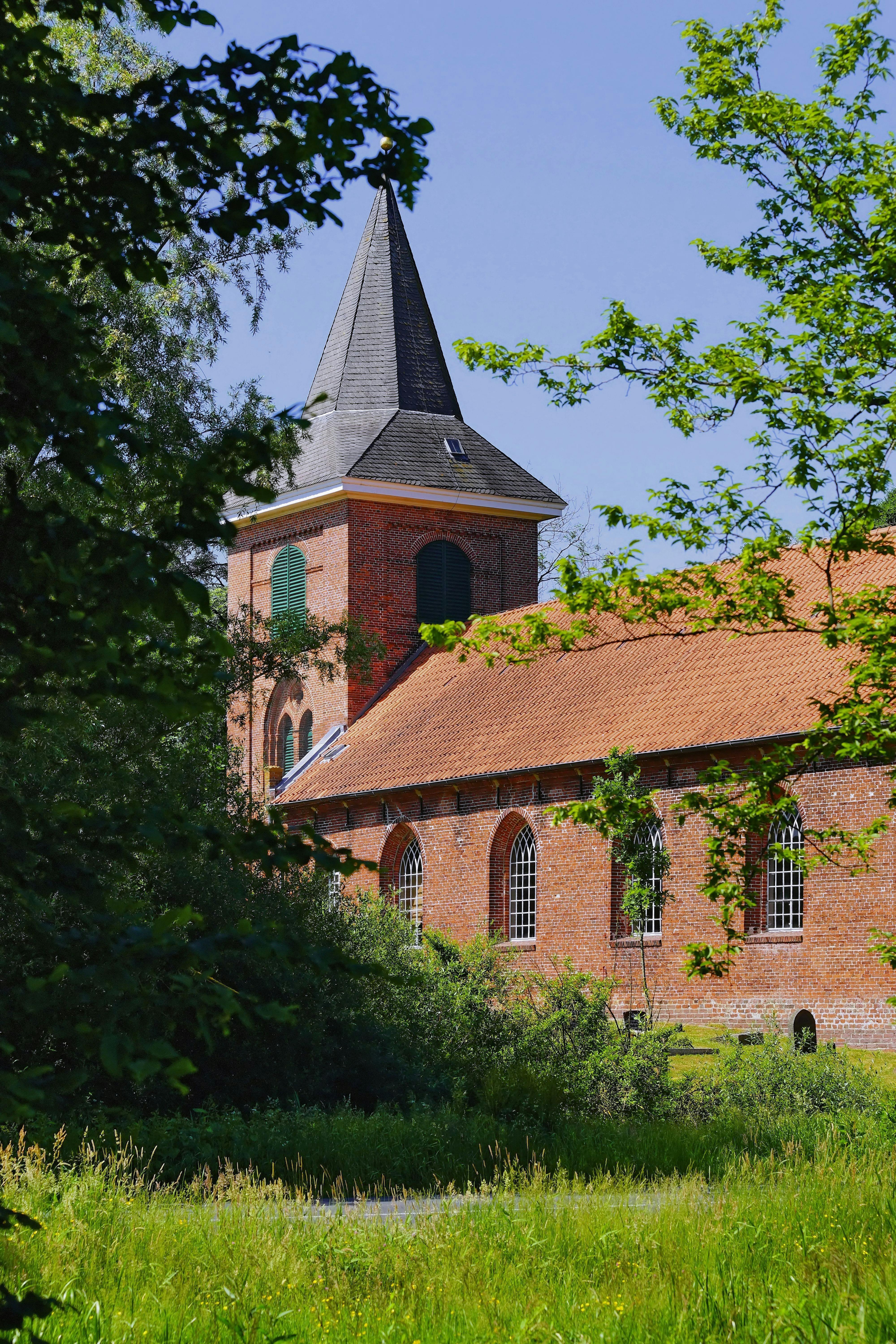Free stock photo of church, early summer, green