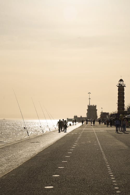 asfalt, deniz, deniz feneri içeren Ücretsiz stok fotoğraf