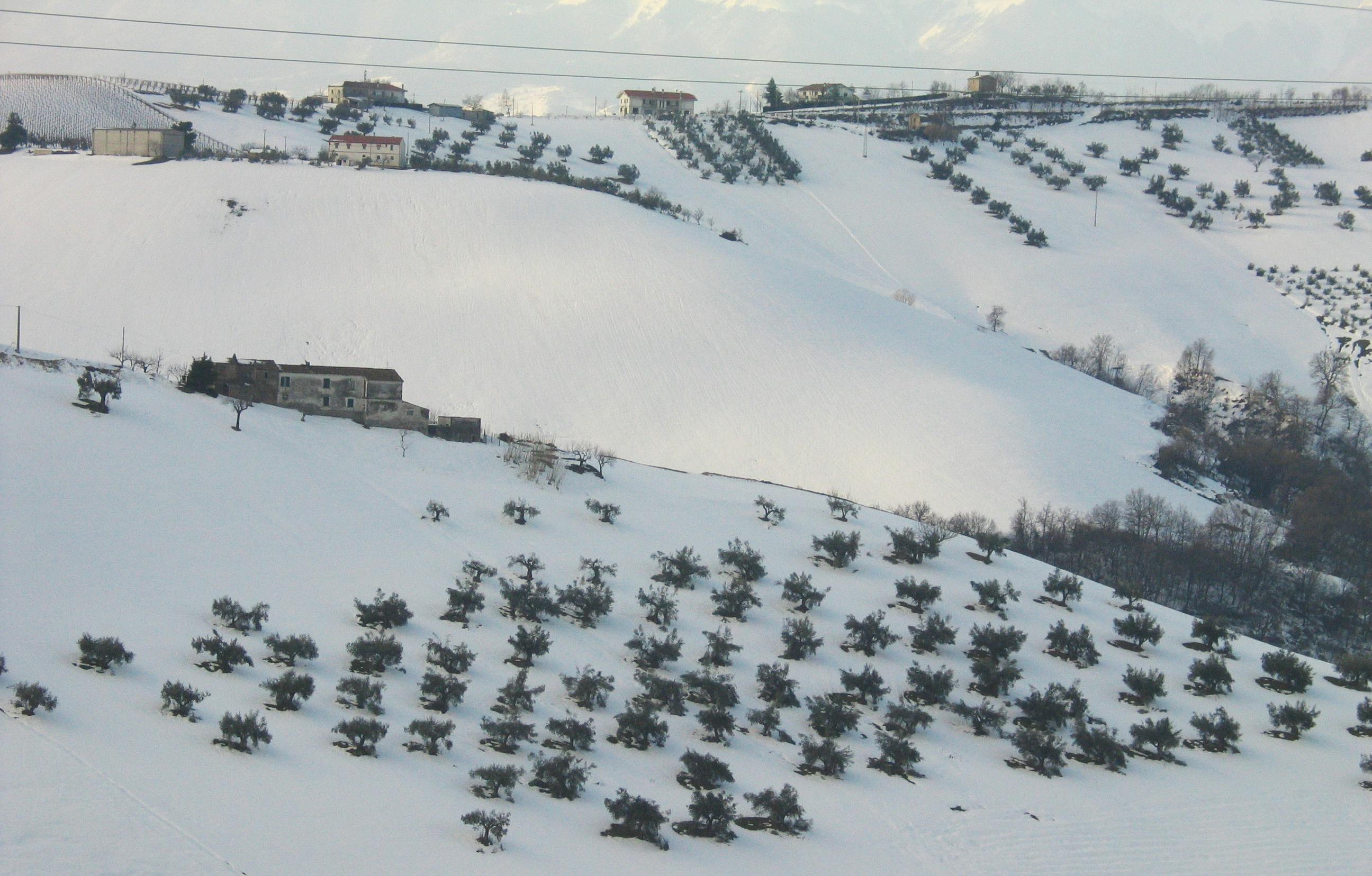 a snow covered hill with many tanks on it