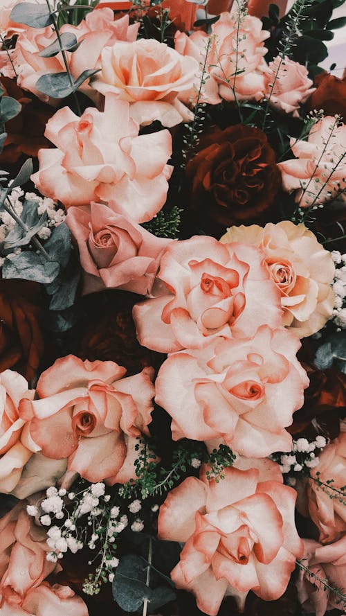Gratis stockfoto met arrangement, bloeiend, bloemen