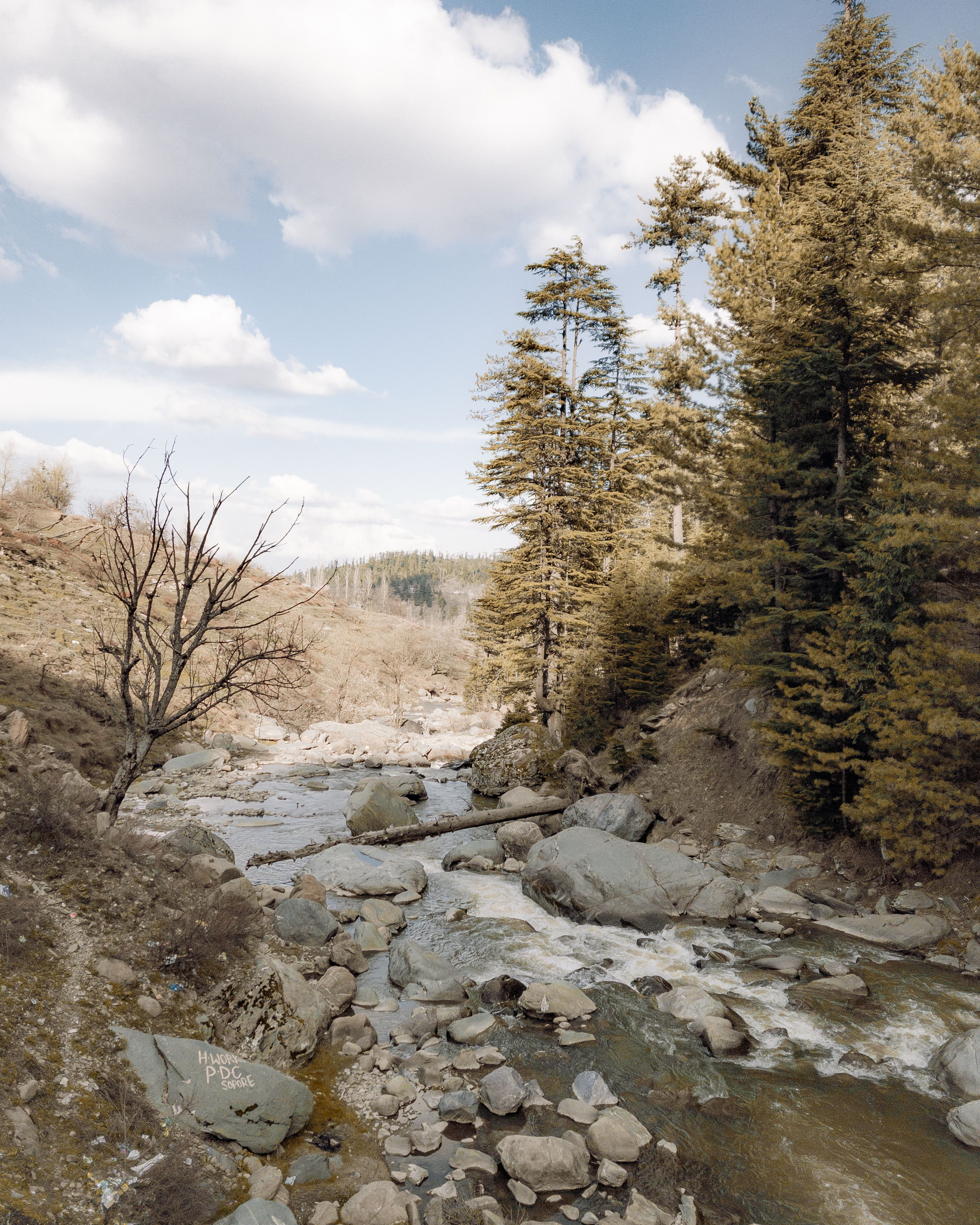 Photo of a Mountain Stream with Rocks · Free Stock Photo