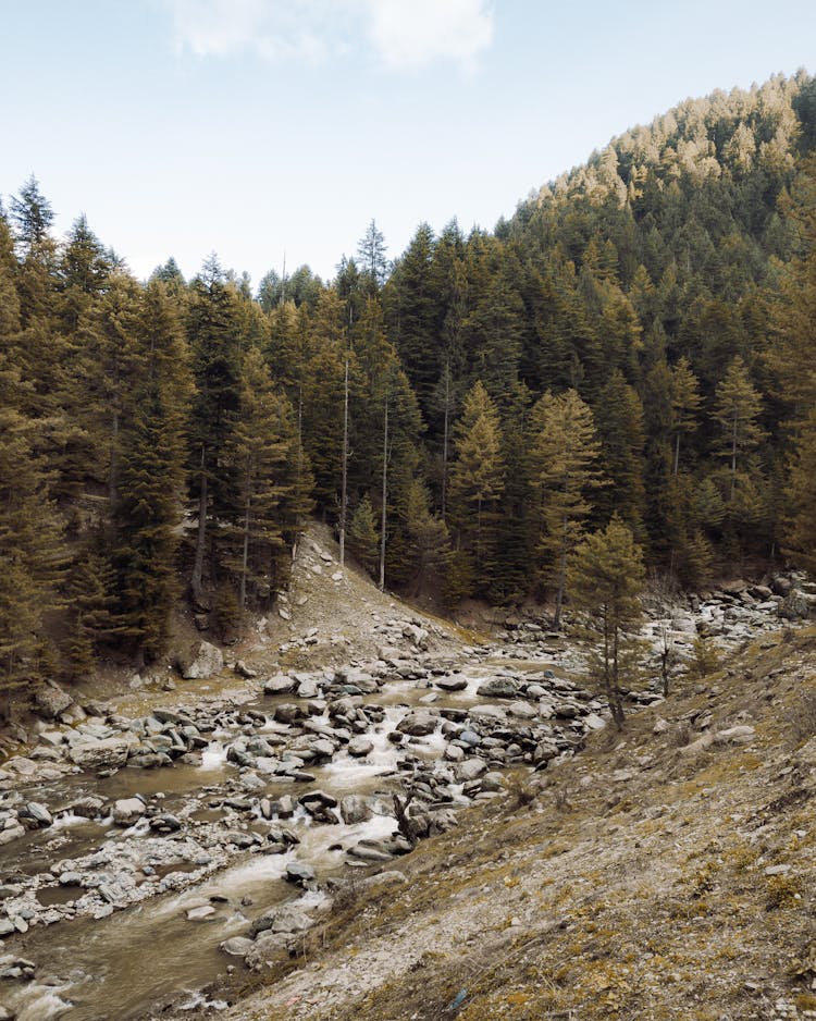 Photo Of A Mountain Stream With Rocks 