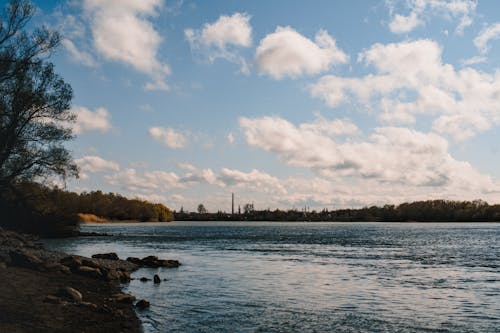 View of a Lake and Trees around It under a Blue Sky 