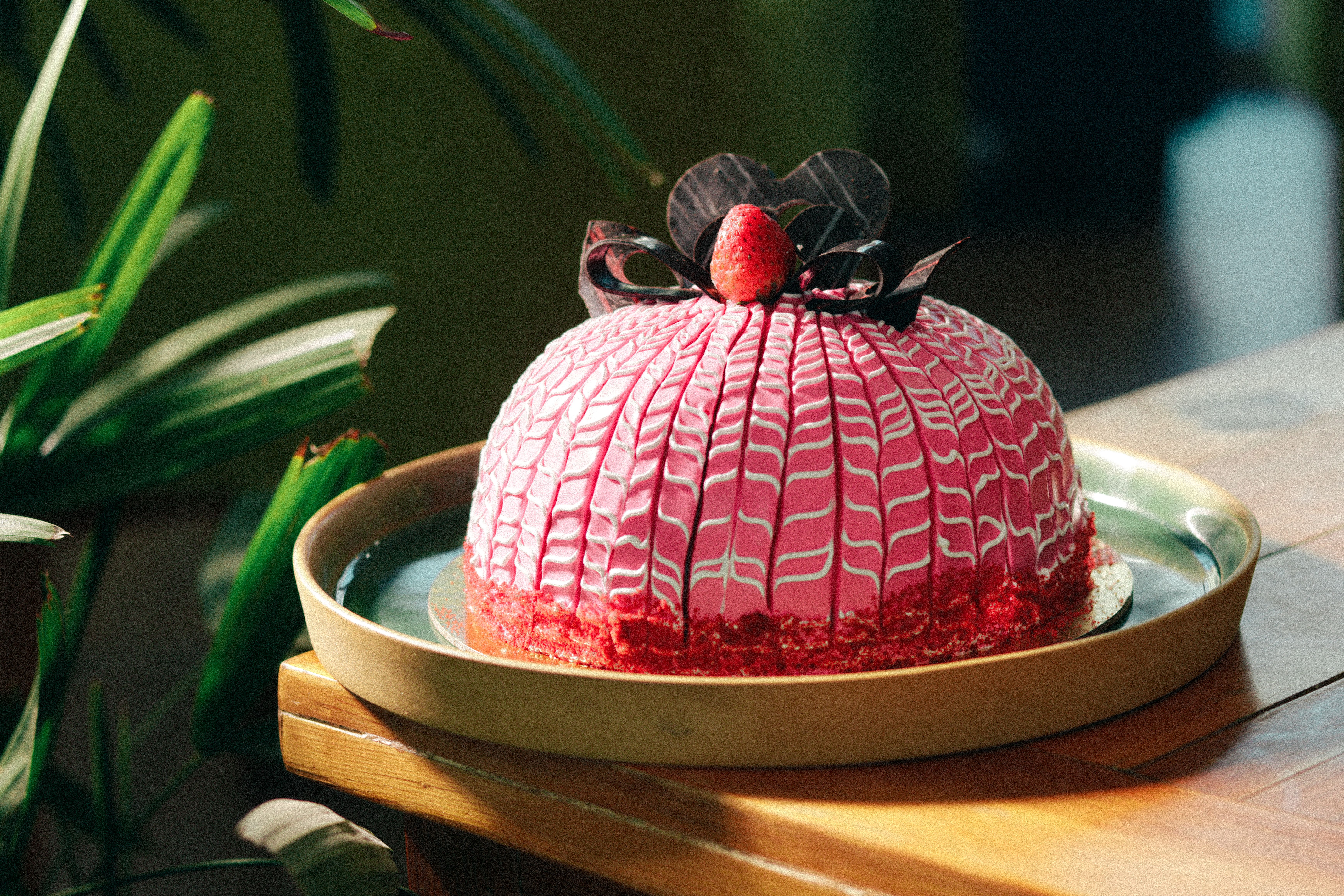 Fresh Delicious Cake · Free Stock Photo
