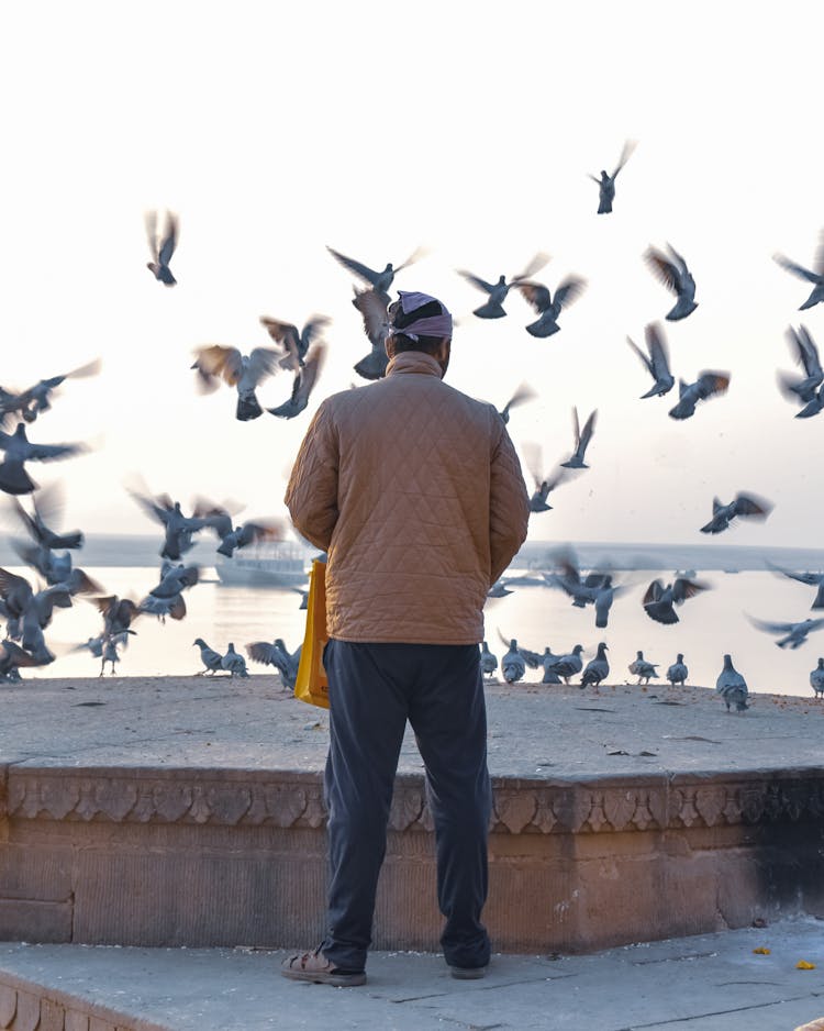 Man Looking At The Sea And Flying Birds