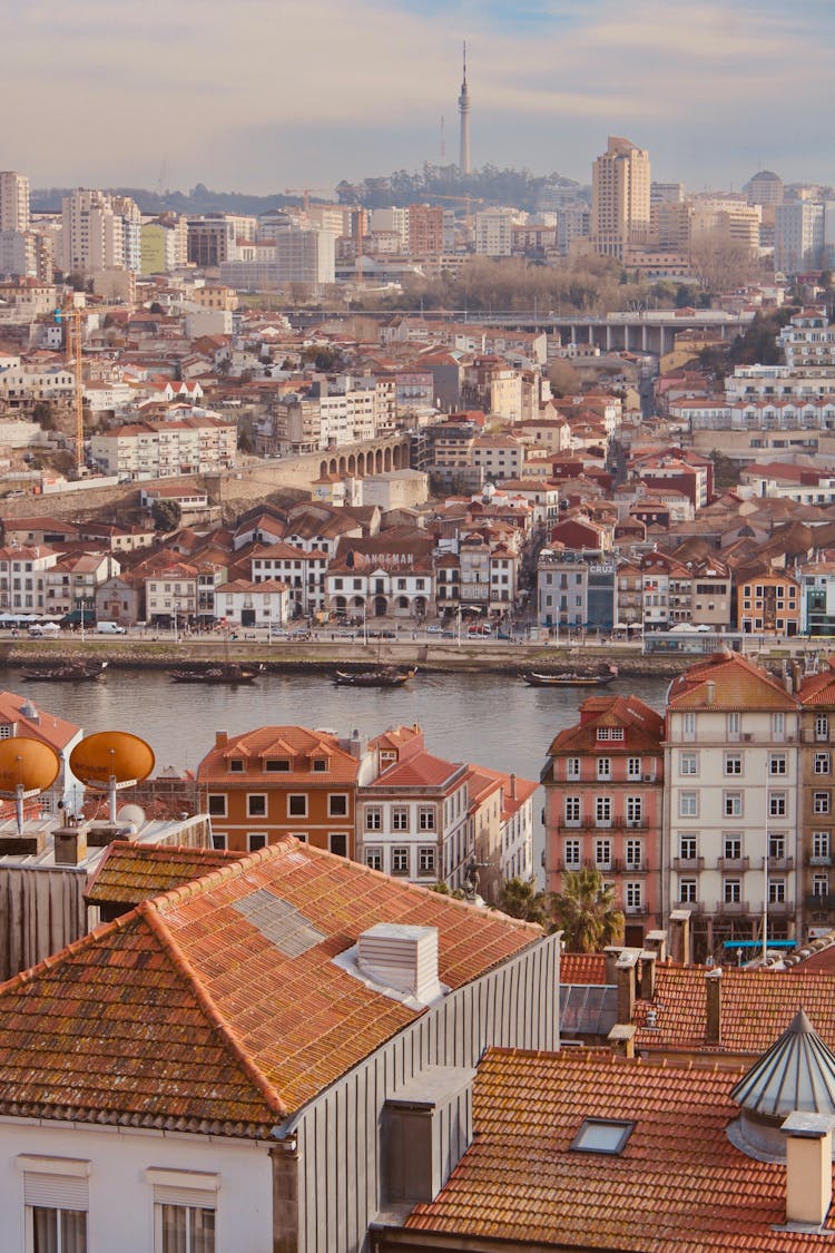 Roofs Of Buildings In Town