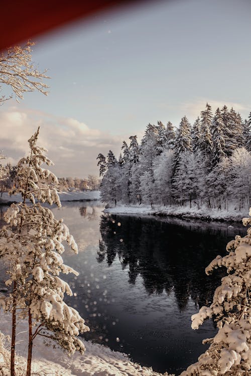 Scenic View of River and Forest in Winter 