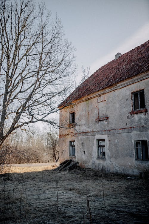 Fotobanka s bezplatnými fotkami na tému dedinský, dom, domy