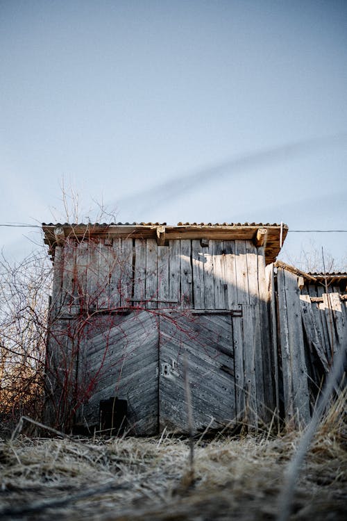 Foto profissional grátis de abandonado, apodrecer, cabana de madeira