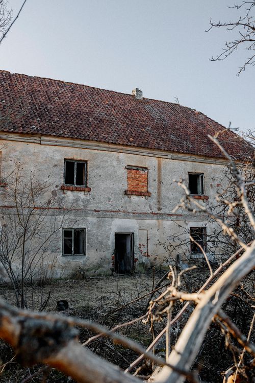 Free A ruined and run-down house surrounded by bare branches in a rural setting. Stock Photo