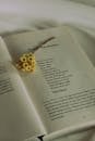 Small Yellow Flower on an Opened Book